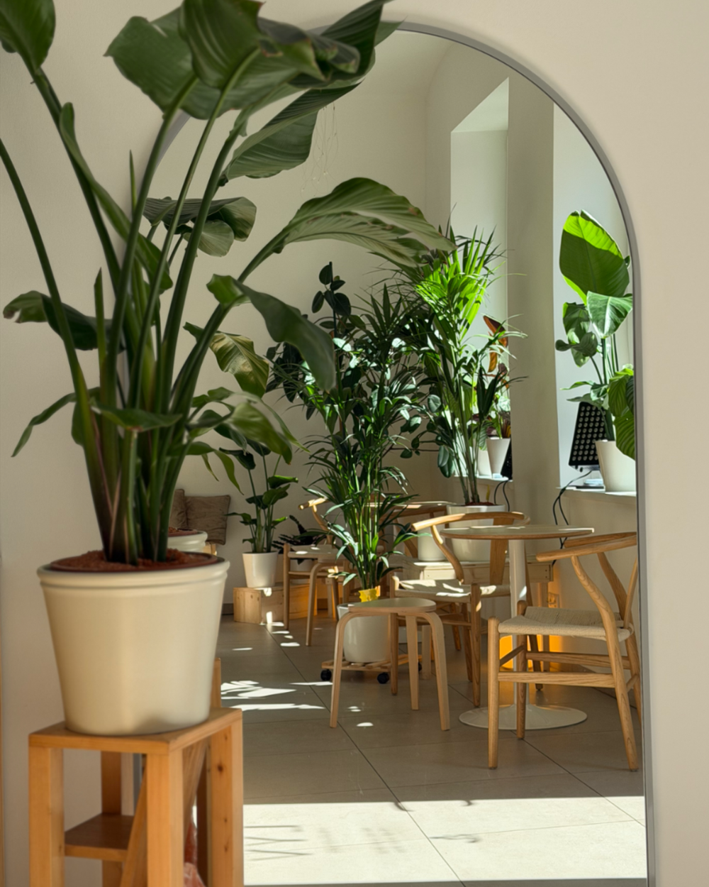 LYV Longevity Café Innenraum in Wien